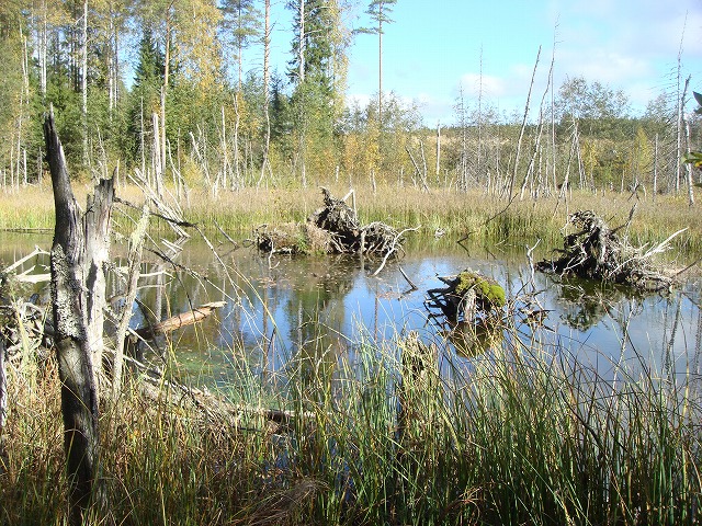 f0188408_19134254.jpg