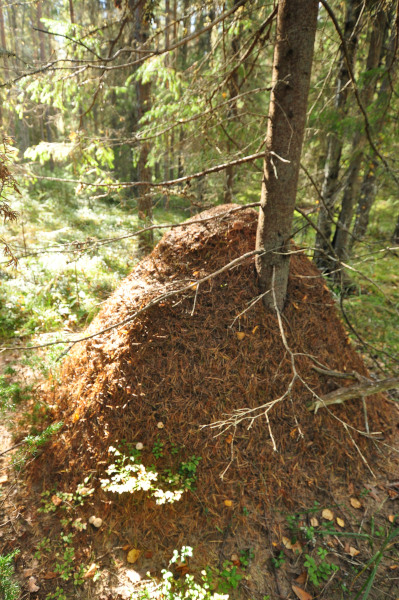 f0188408_19204425.jpg