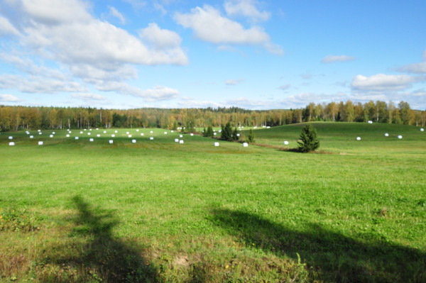 f0188408_19361970.jpg