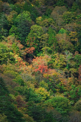 a0263109_21484431.jpg