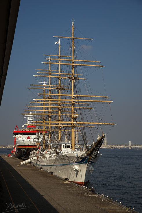 f0344614_224071.jpg