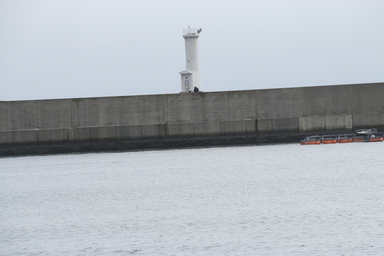 a0198715_13080585.jpg