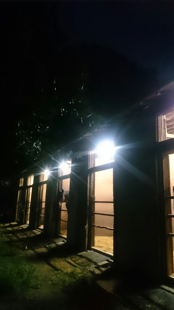 b0187620_20402111.jpg