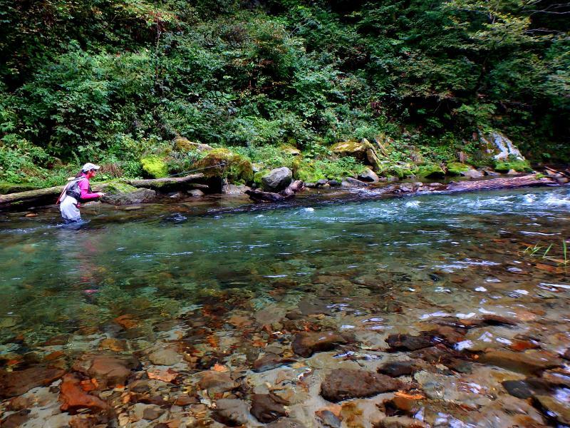 d0091323_17492691.jpg