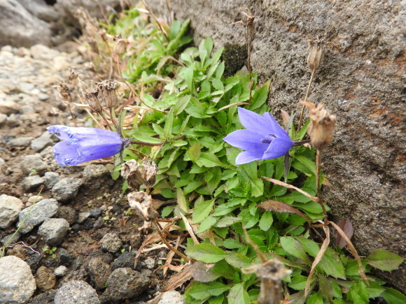 f0118332_01022200.jpg