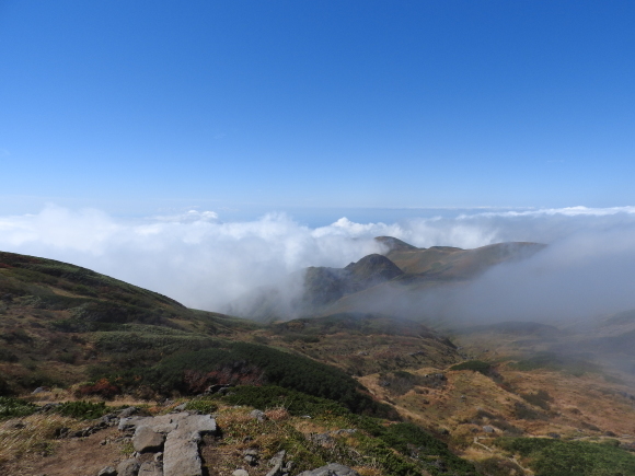 f0118332_01024223.jpg