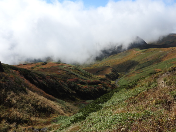 f0118332_01050353.jpg