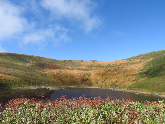 f0118332_01061044.jpg