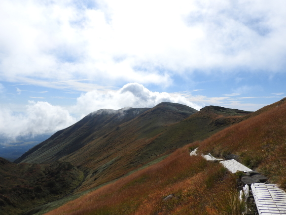 f0118332_01073506.jpg