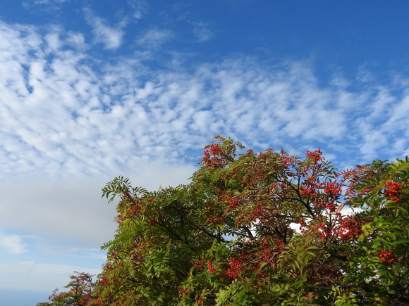 f0118332_01090706.jpg