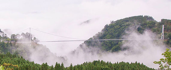 a0264538_16540419.jpg