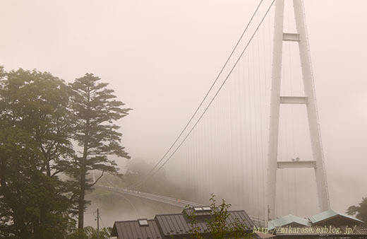 a0264538_16545449.jpg