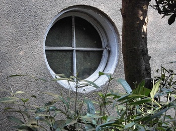 e0098739_1684386.jpg
