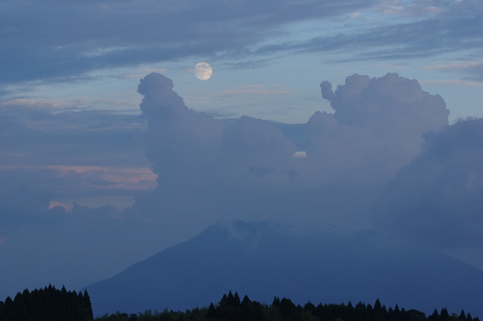 c0281841_1354157.jpg