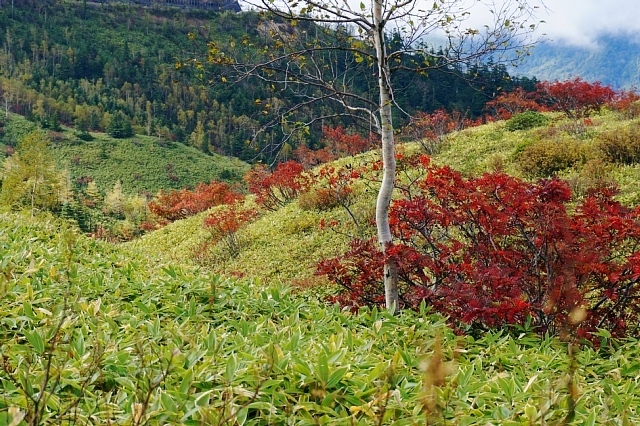 b0122448_20500098.jpg