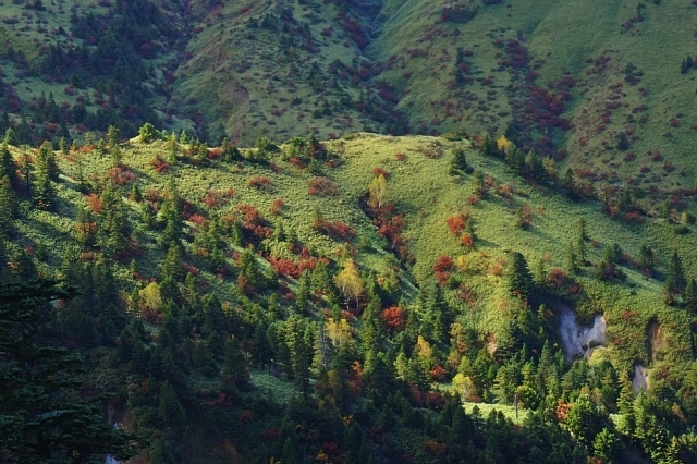 b0122448_20503186.jpg