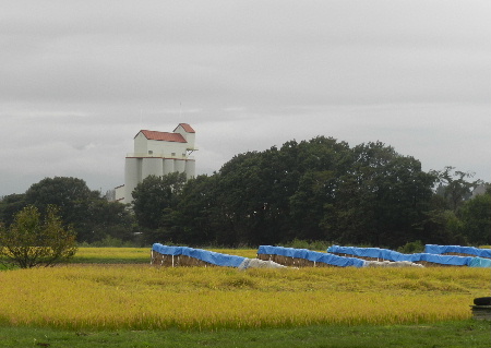 e0172950_20474616.jpg