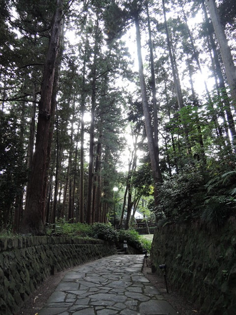 a0108859_01503901.jpg