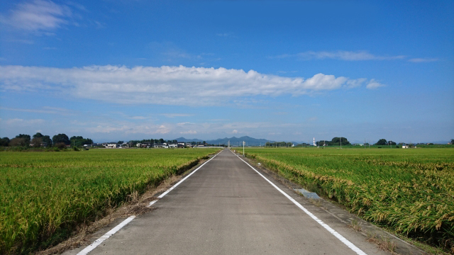 b0024261_14011379.jpg