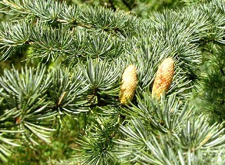 e0175064_20171203.jpg
