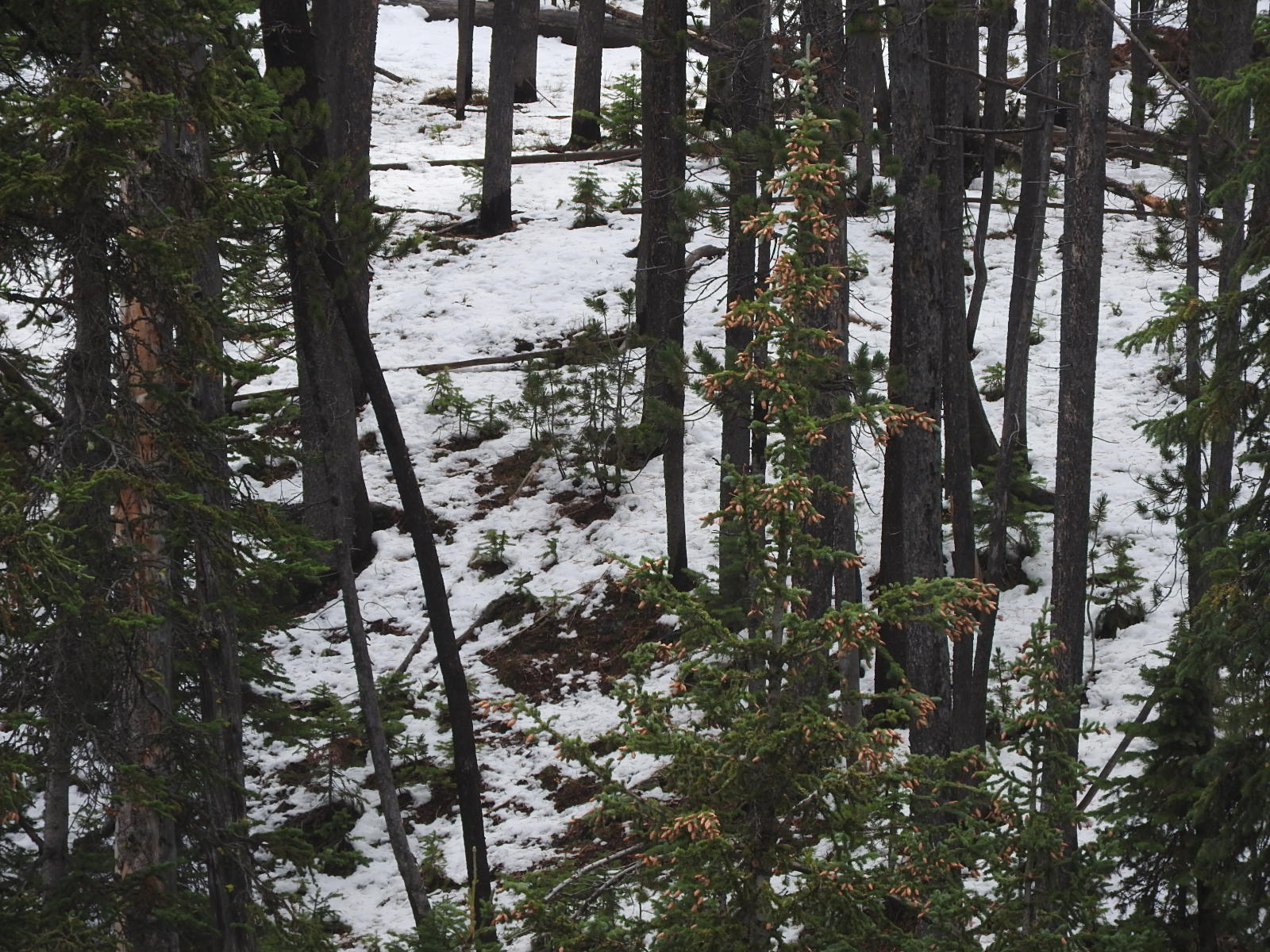 c0115366_011117.jpg