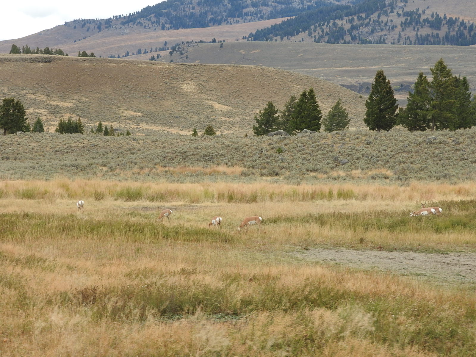 c0115366_018284.jpg