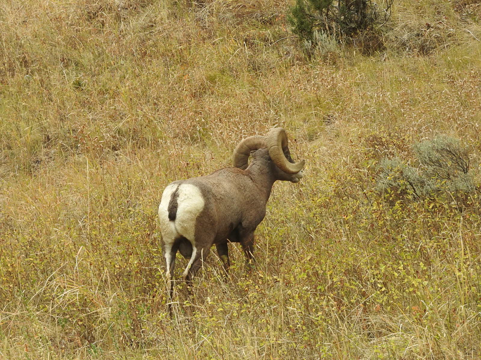 c0115366_021572.jpg