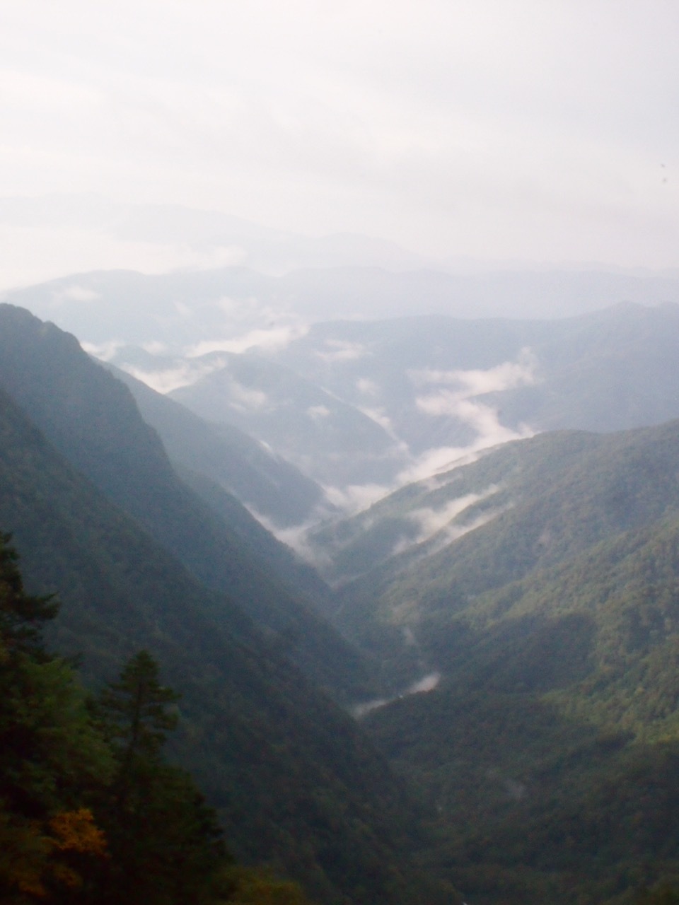 c0321967_08433814.jpg