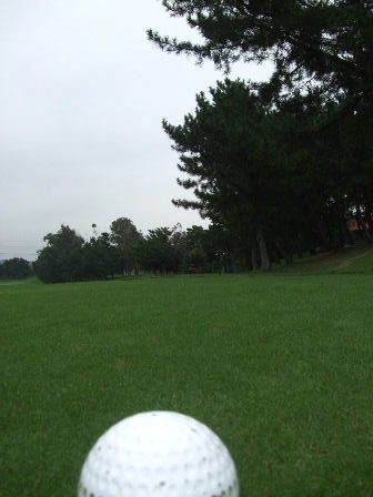f0039281_15312454.jpg