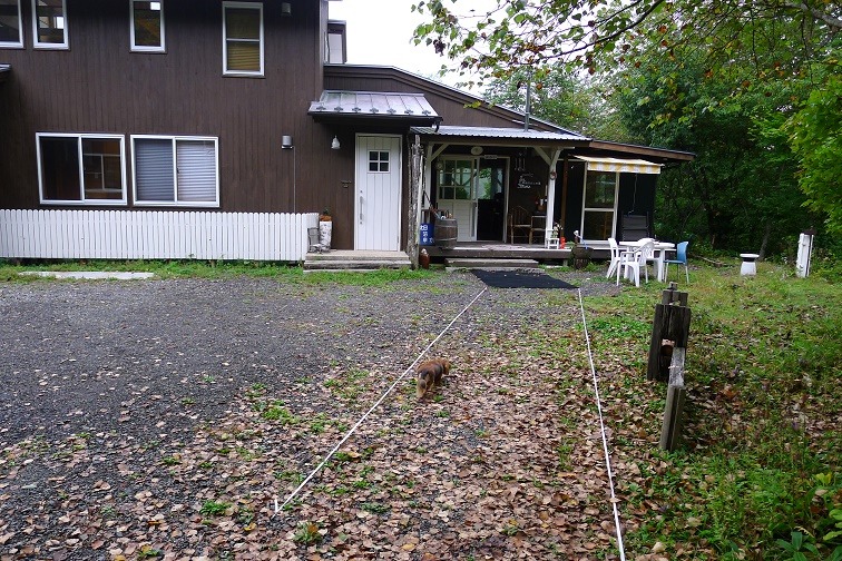 a0130586_9382032.jpg