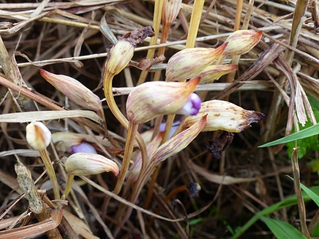 f0357487_15285498.jpg