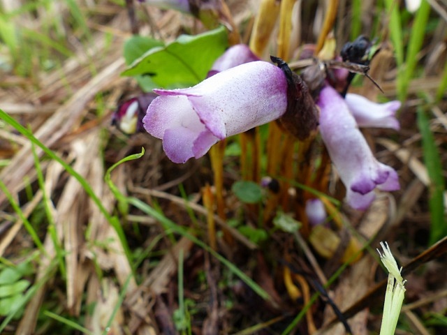 f0357487_15293670.jpg