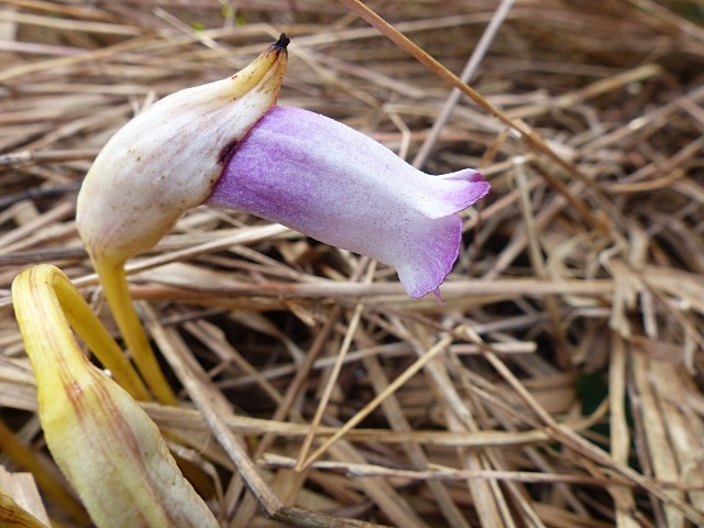 f0357487_15294955.jpg