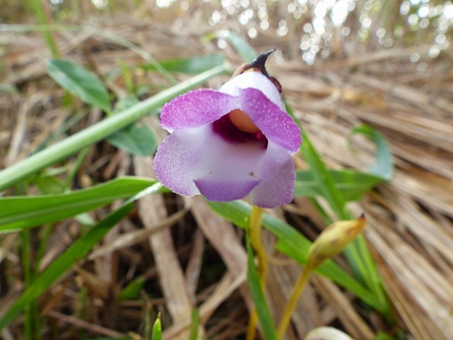 f0357487_15304222.jpg