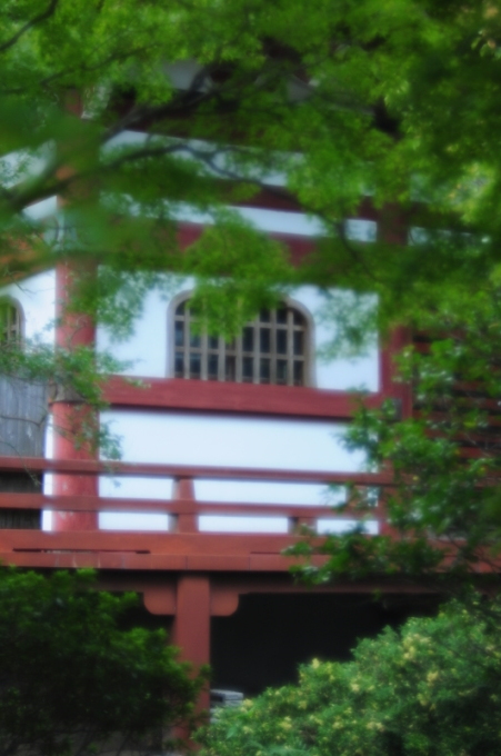 d0021491_06104628.jpg