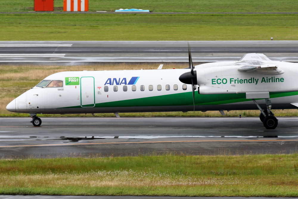 e0204891_2062536.jpg