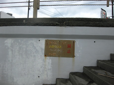 d0160692_1344067.jpg
