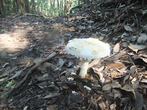 e0048994_17372516.jpg