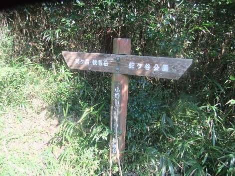 e0048994_17383178.jpg
