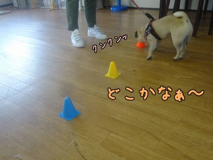 a0338800_22151004.jpg