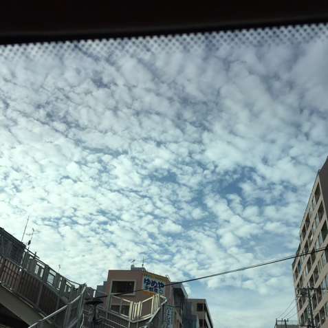 d0057701_20380581.jpg