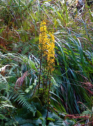 a0164011_18375090.jpg