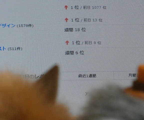 d0152713_09491956.jpg