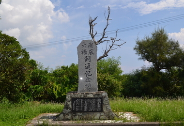 b0121019_20154590.jpg