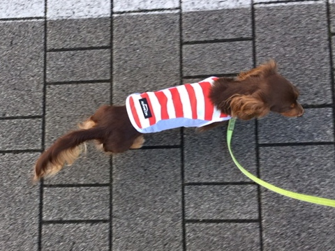 c0117831_16314206.jpg