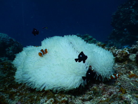 a0085632_23244730.jpg