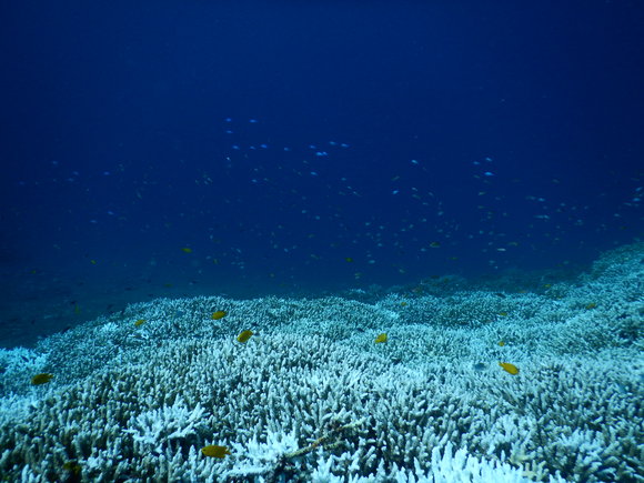a0085632_23312015.jpg