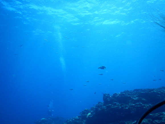 a0085632_2332772.jpg
