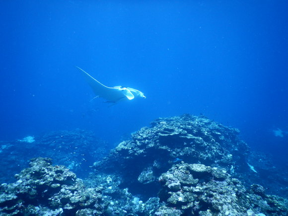 a0085632_23414522.jpg