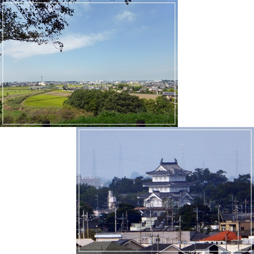 d0140133_1426555.jpg